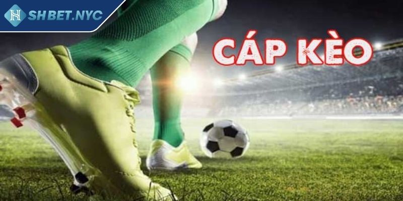 Cáp Kèo SHBET Giải Mã Sân Chơi Cá Cược Bóng Đá Đỉnh Cao 1 Nguồn gốc và sự phát triển của cáp kèo SHBET