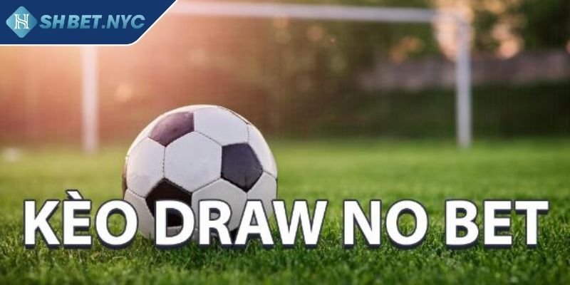 Kèo Draw No Bet SHBET – Cá Cược Thông Minh Hạn Chế Rủi Ro 1 Tại sao Kèo Draw No Bet SHBET được nhiều người yêu thích