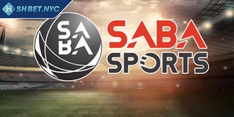 Thể Thao Saba SHBET Trải Nghiệm Cá Cược Trực Tuyến Đẳng Cấp 3 Những vấn đề đặc biệt cần lưu ý tránh rủi ro